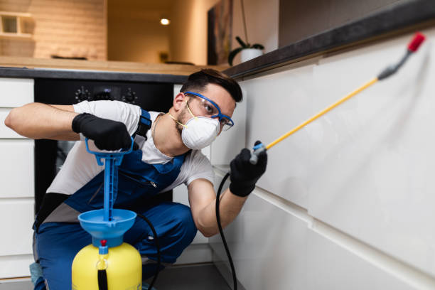Best Exterminator Services  in Foley, AL