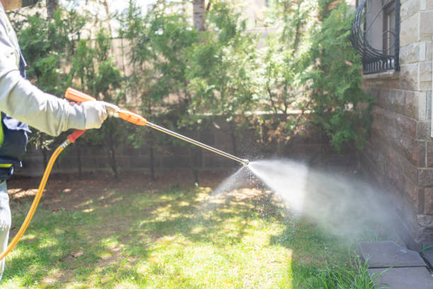 Best Termite Control Services  in Foley, AL