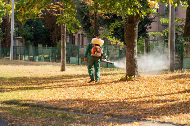 Best Local Pest Control Services  in Foley, AL