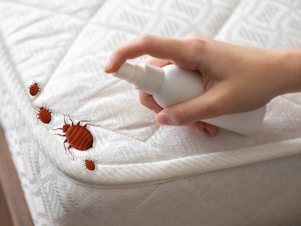 Best Pest Inspection Near Me  in Foley, AL